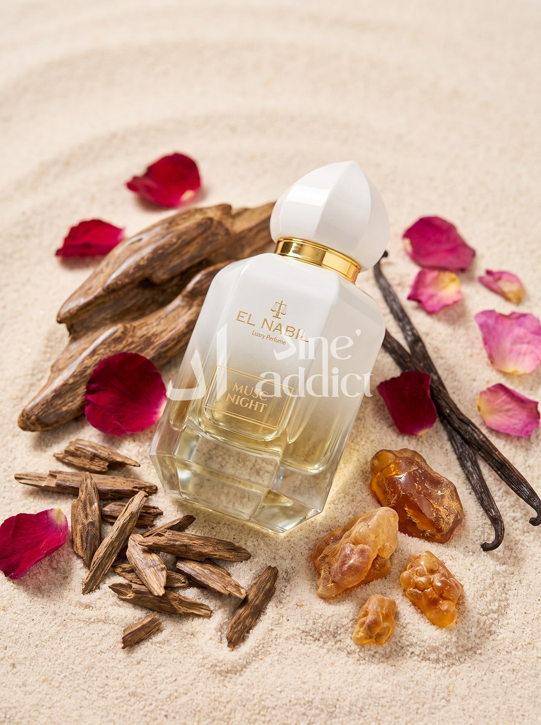 MUSC NIGHT – EL NABIL EAU DE PARFUM 65 ML, ambiance