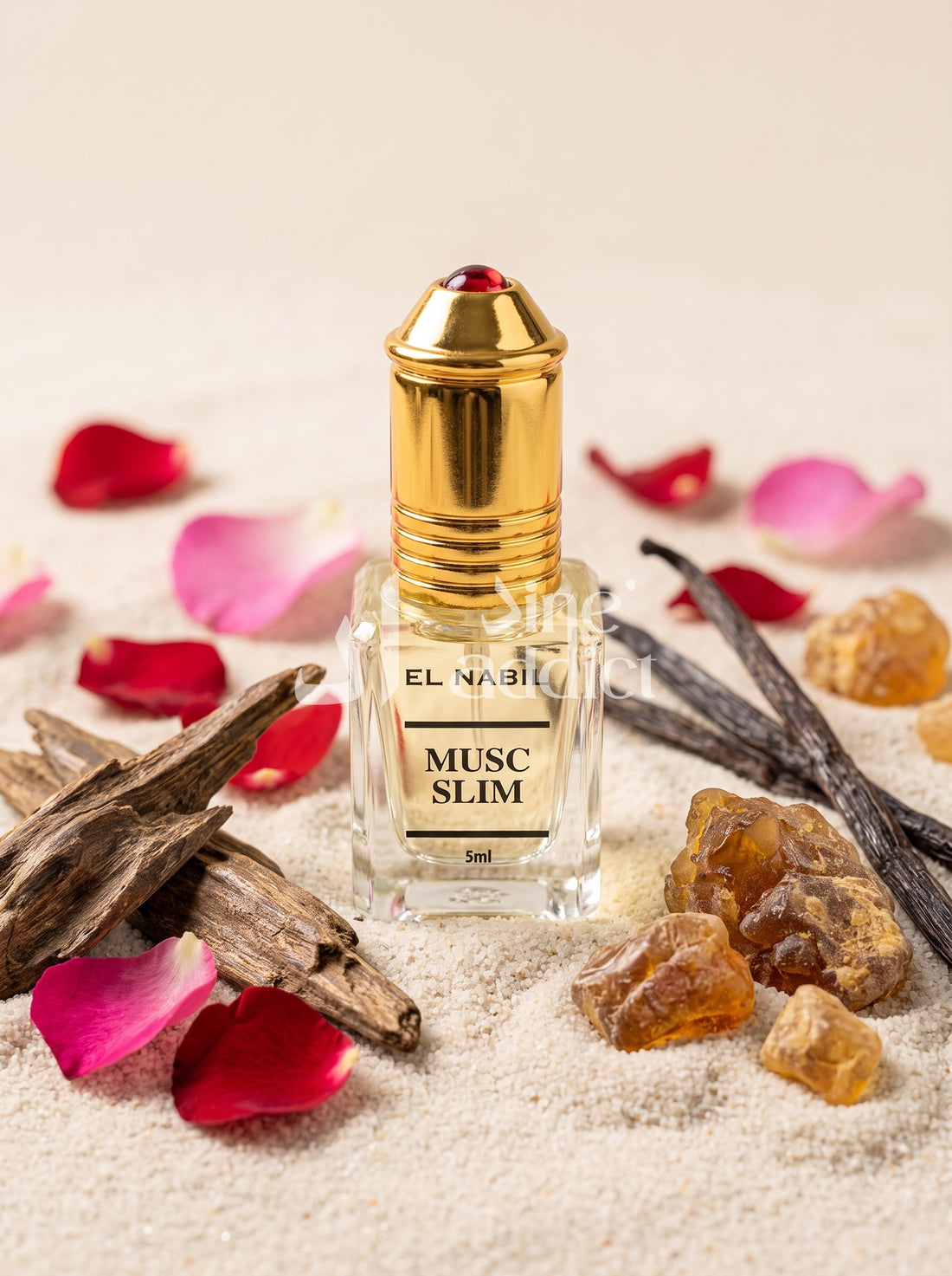 MUSC SLIM – EL NABIL, ambiance