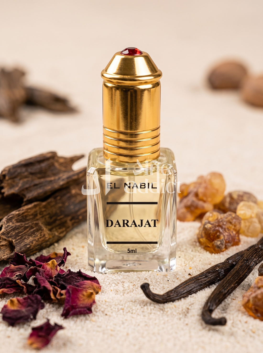 MUSC DARAJAT – EL NABIL, ambiance