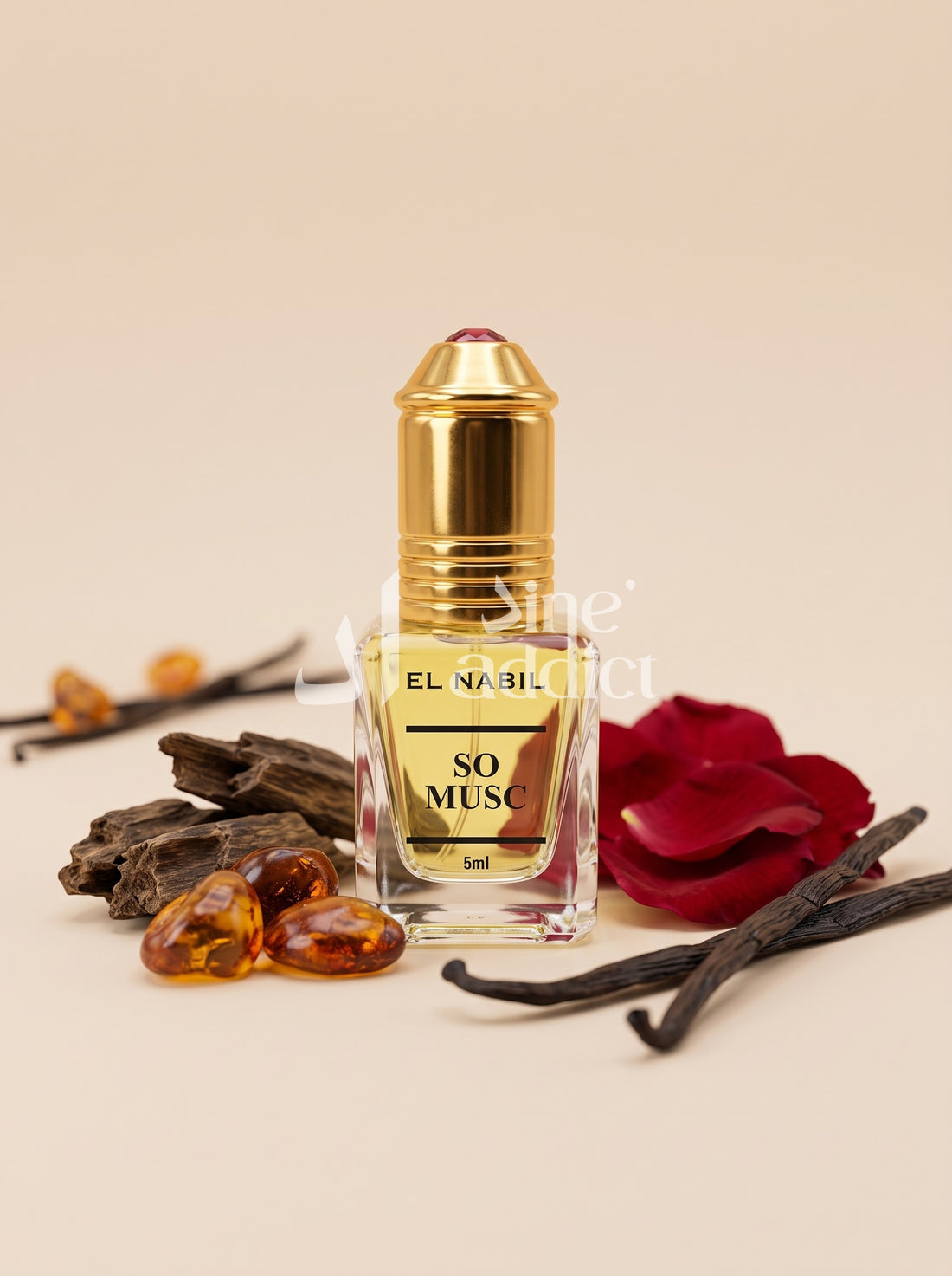 SO MUSC – EL NABIL, ambiance