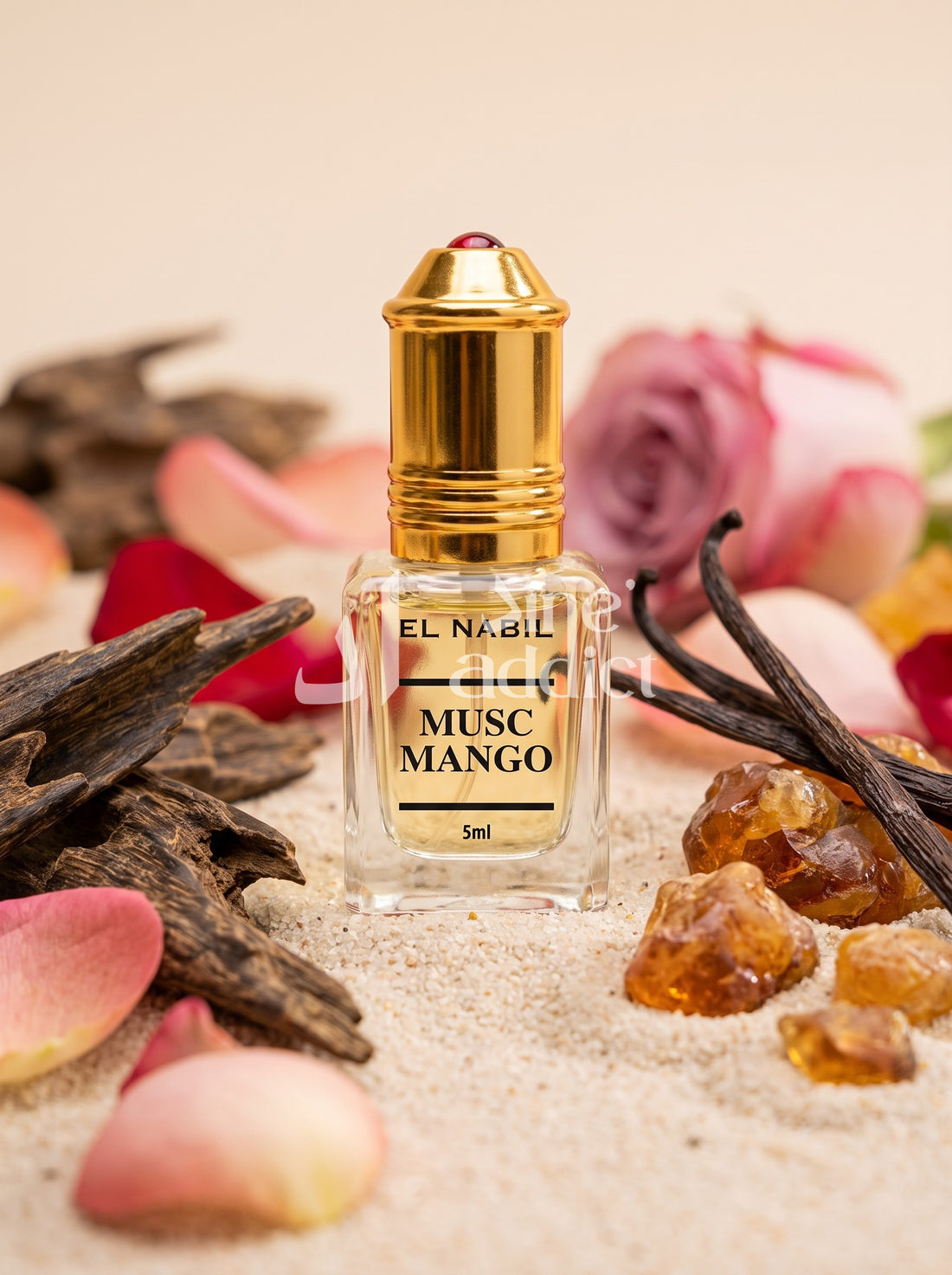 MANGO MUSC – EL NABIL, ambiance