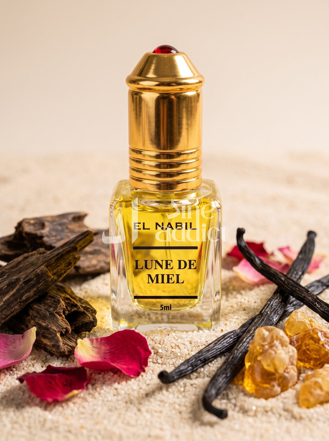 MUSC LUNE DE MIEL – EL NABIL, ambiance