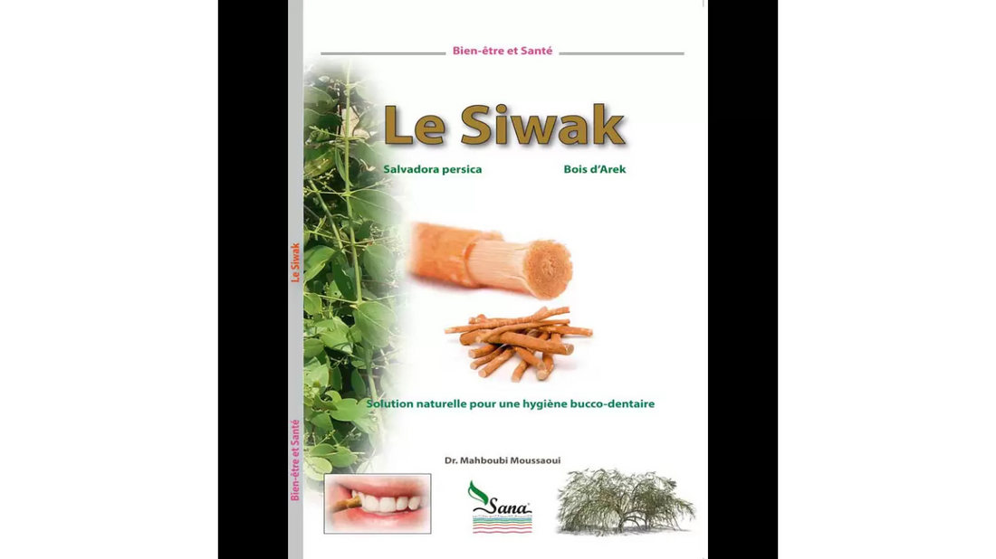 Le Siwak – Dr. Mahboubi Moussaoui
