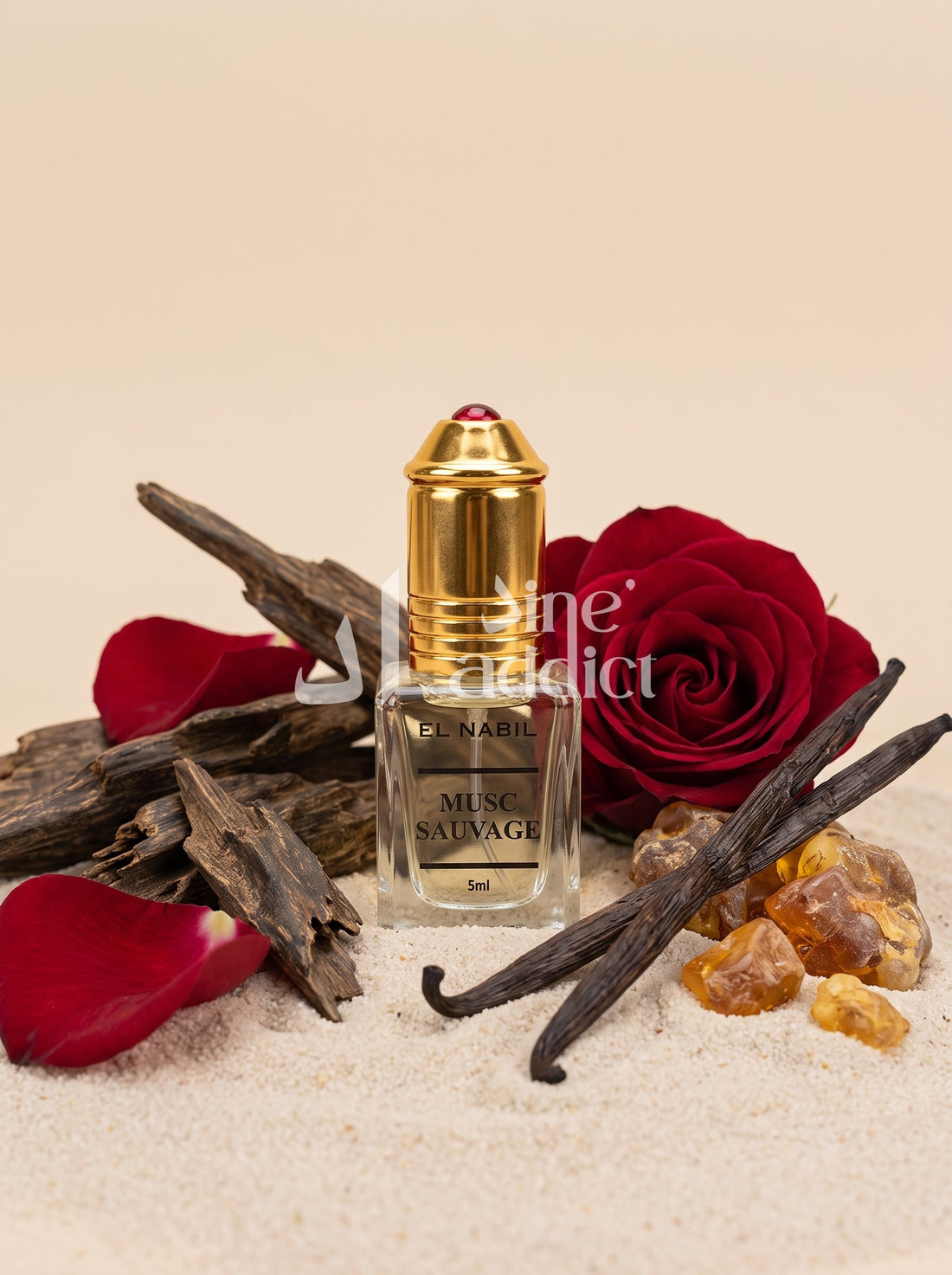 SAUVAGE MUSC – EL NABIL, ambiance