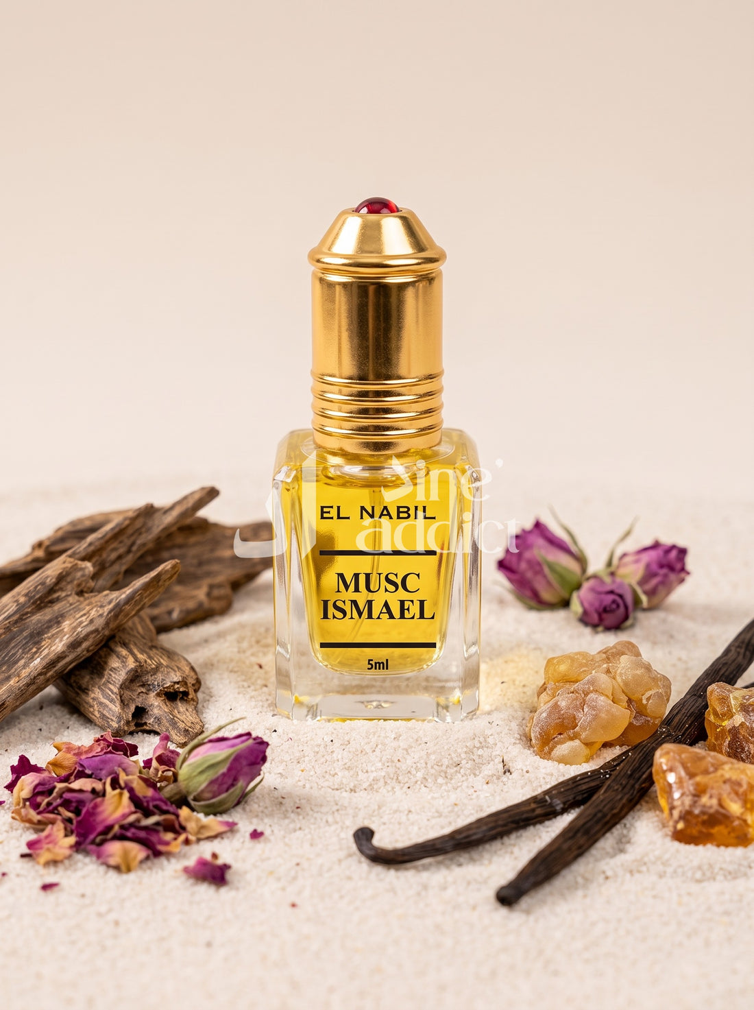 ISMAÊL MUSC – EL NABIL, ambiance