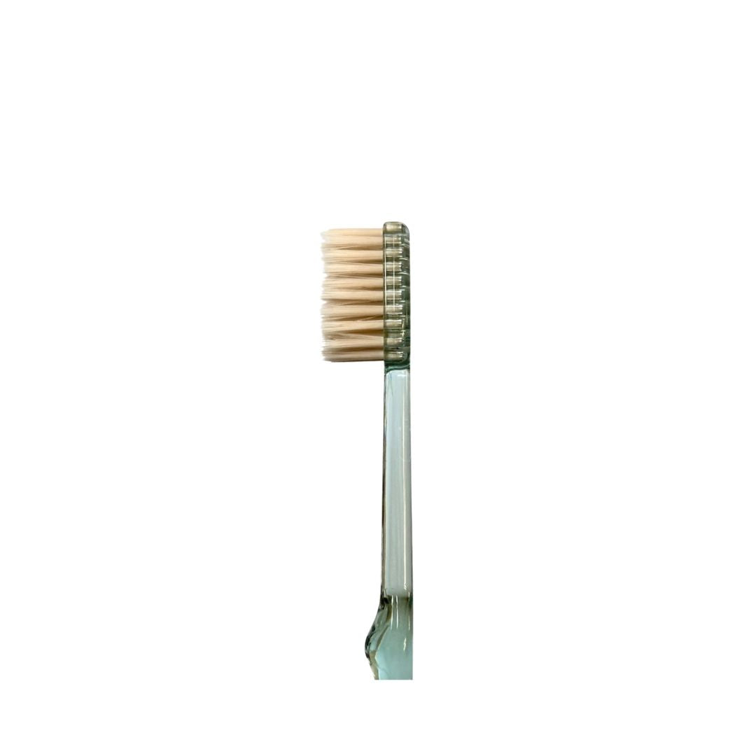 Brosse à dent au siwak – Manche transparent