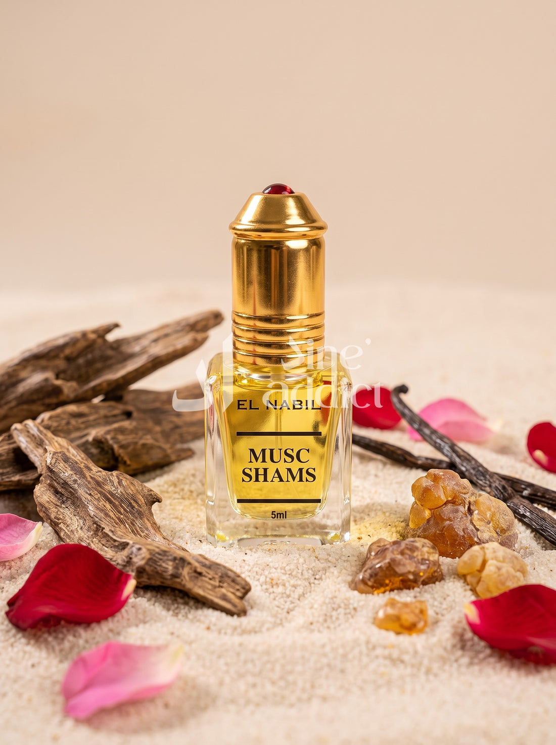 MUSC SHAM’S – EL NABIL, ambiance