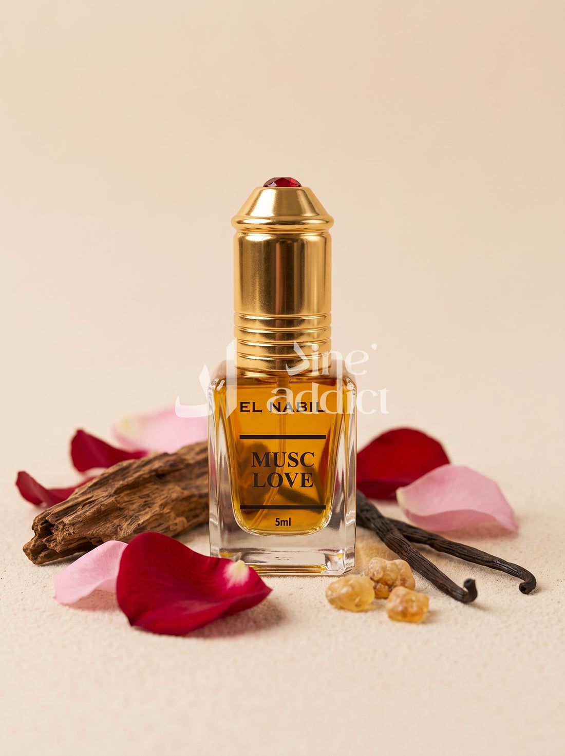MUSC LOVE – EL NABIL, ambiance