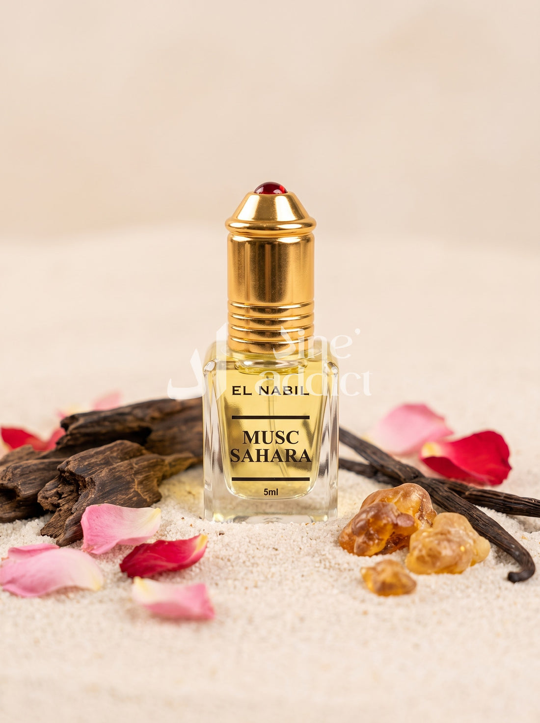 SAHARA MUSC – EL NABIL, ambiance