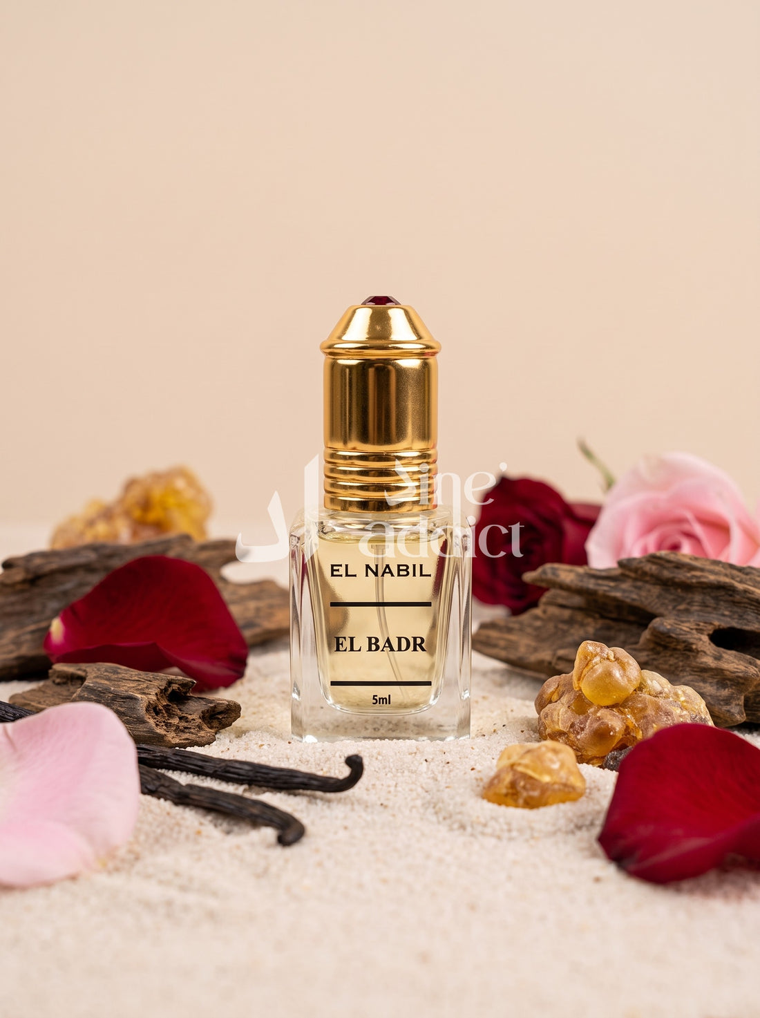 EL BADR MUSC – EL NABIL, ambiance