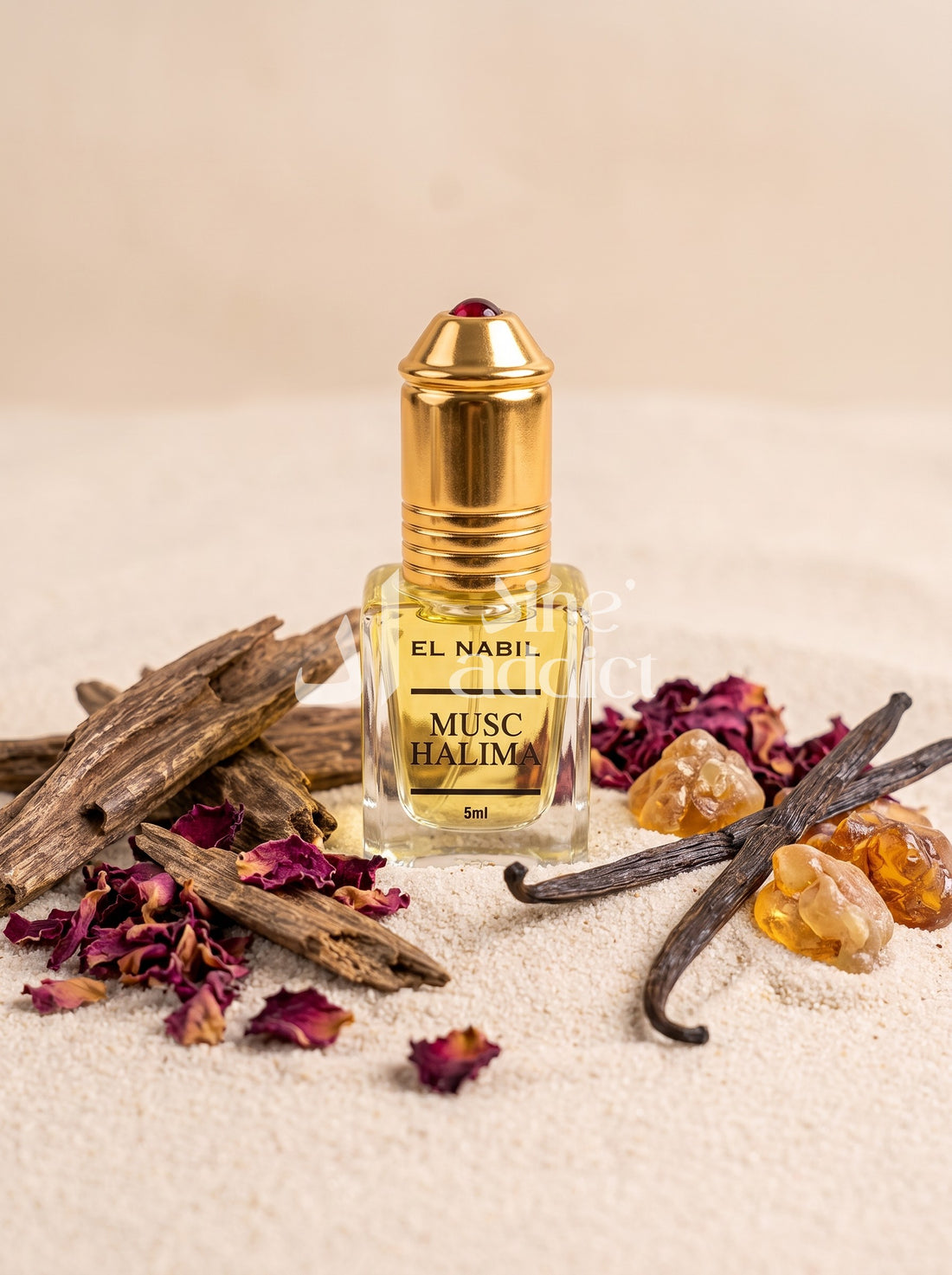 HALIMA MUSC – EL NABIL, ambiance