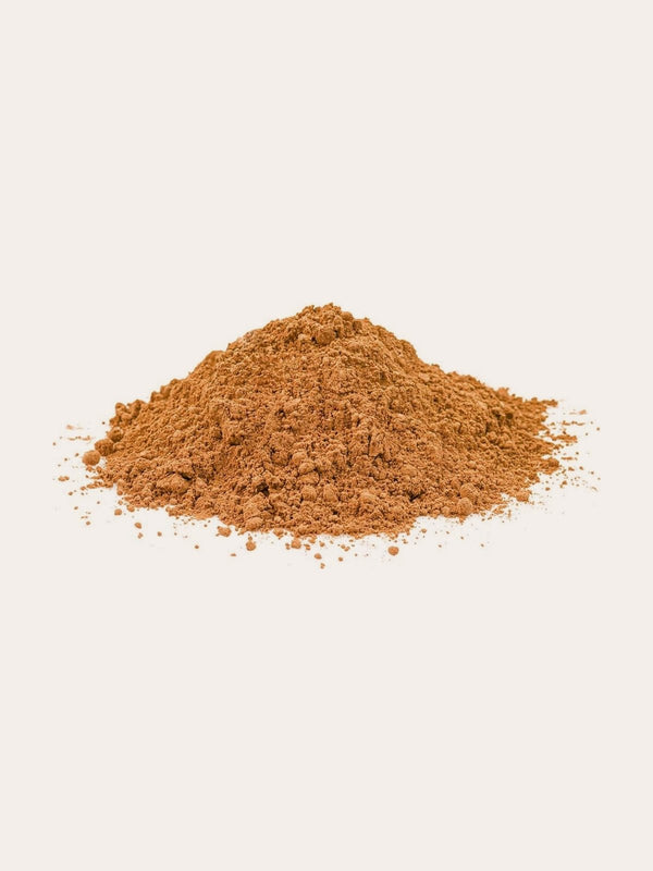 Costus Indien en poudre (Sachet de 100gr)